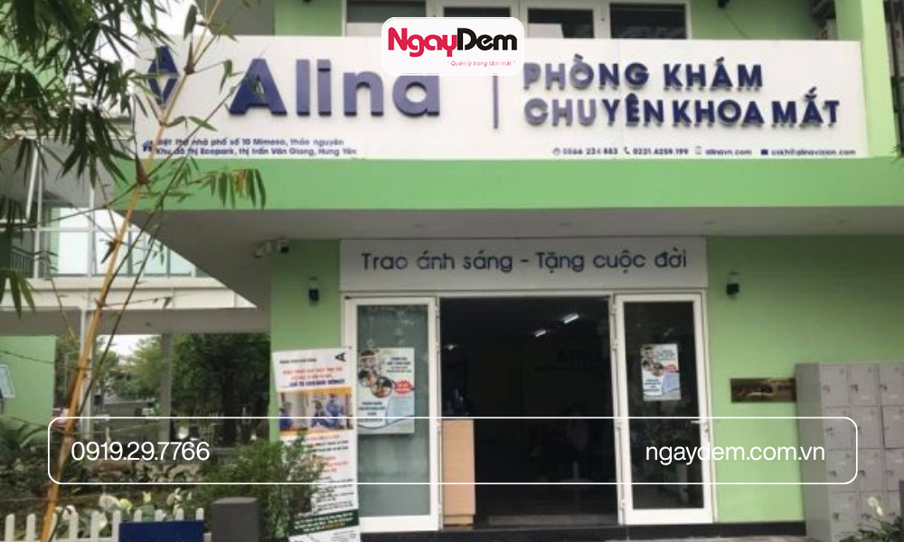 Lắp đặt camera phòng khám Alina
