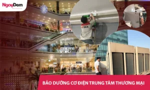 Bảo dưỡng hệ thống cơ điện cho Trung tâm thương mại | Hỗ trợ 24/7 - có mặt ngay