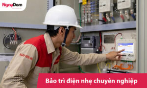 Bảo trì điện nhẹ chuyên nghiệp: Chìa khóa vận hành không gián đoạn cho mọi công trình