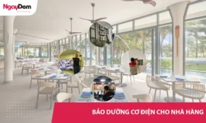 Dịch vụ bảo trì, bảo dưỡng cơ điện cho nhà hàng 24/7 | Xử lý lỗi nhanh, triệt để