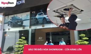 Dịch vụ bảo trì điều hòa Showroom – cửa hàng lớn - Uy tín, giá hợp lý