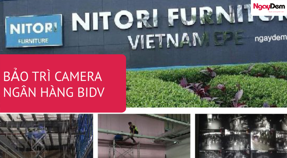 Dự án bảo trì camera nutrion