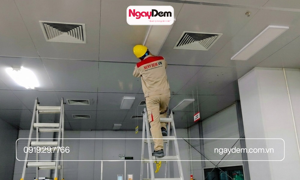 Nên thuê hay tự bảo trì điện nhẹ?