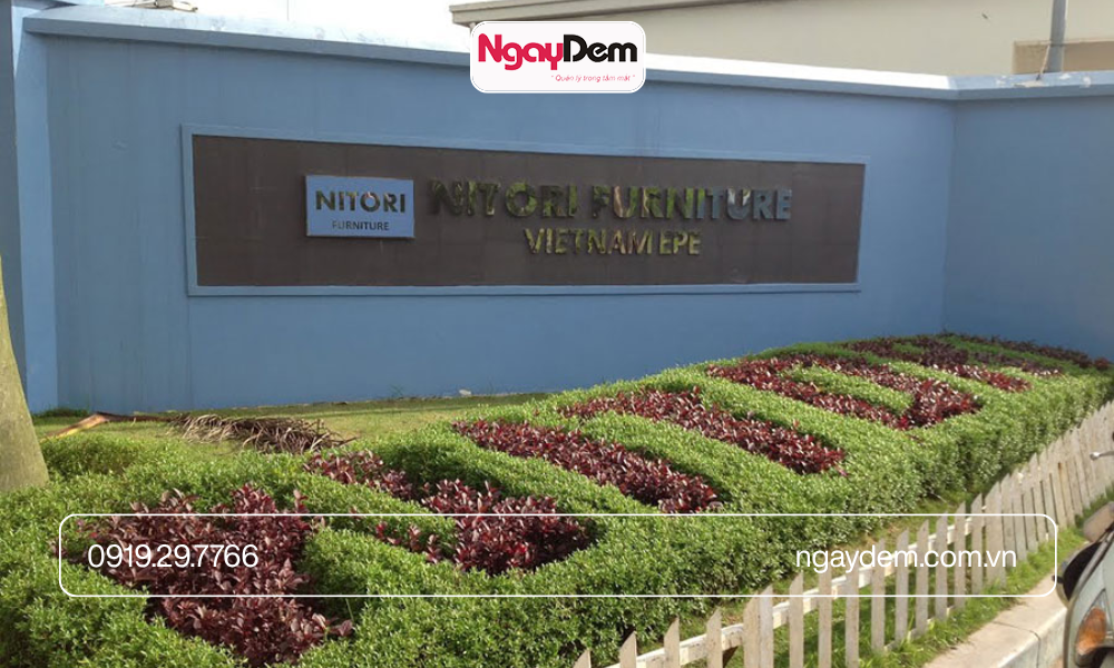 Hình ảnh thực tế lắp đặt camera nitori