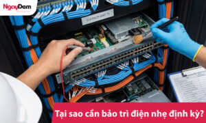 Tại sao cần bảo trì điện nhẹ định kỳ?