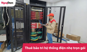 Thuê bảo trì hệ thống điện nhẹ trọn gói
