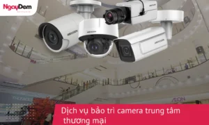 Dịch vụ bảo trì camera TTTM
