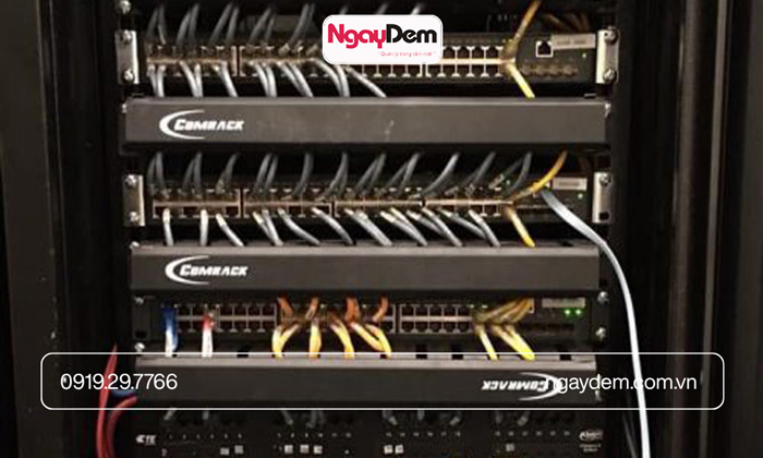 Dự Án Lắp Đặt Mạng LAN Wifi Tại Decathlon