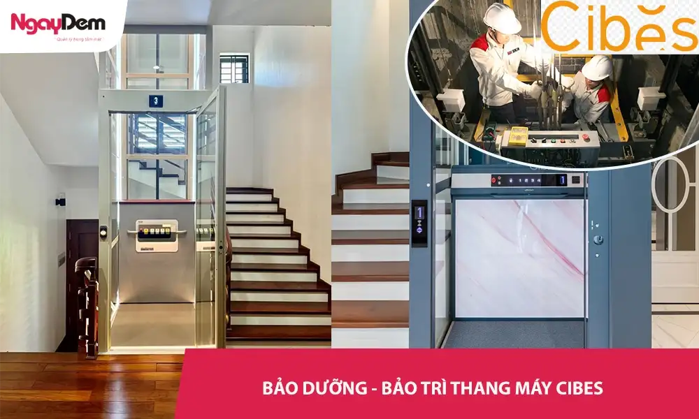Bảo dưỡng – Bảo trì thang máy Cibes Lift An Toàn – Giá Tốt Toàn Quốc