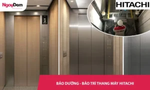 Bảo dưỡng – Bảo trì thang máy Hitachi Chuyên Nghiệp, Giá Tốt