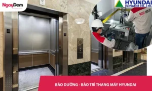 Bảo dưỡng – Bảo trì thang máy Hyundai Uy Tín – Hỗ trợ kỹ thuật 24/7