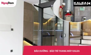 Bảo trì - bảo dưỡng thang máy Kalea Uy Tín – Kỹ Thuật Chuyên Sâu