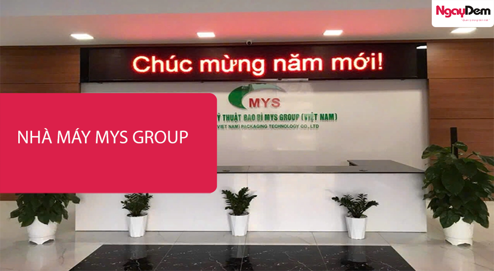 Dự án bảo dưỡng camera giám sát Công ty Mys Group