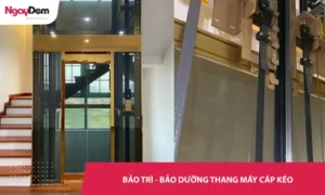 Bảo trì - bảo dưỡng thang máy cáp kéo - 24/7 - Xử Lý Nhanh, An Toàn Tuyệt Đối