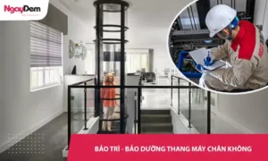 Bảo trì - bảo dưỡng thang máy chân không - Khảo sát ngay, Báo giá Siêu Tốc