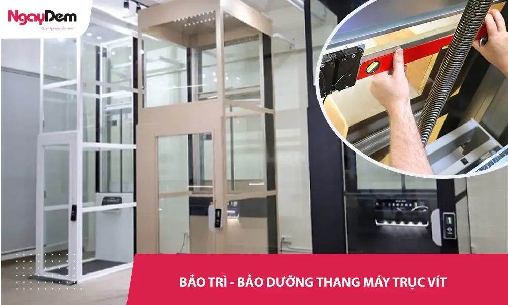 Bảo trì – bảo dưỡng thang máy trục vít chuyên nghiệp – Hỗ trợ 24/7