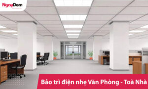 Bảo trì điện nhẹ cho tòa nhà văn phòng