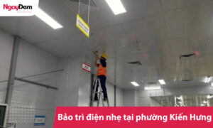 Bảo trì điện nhẹ tại phường Kiến Hưng