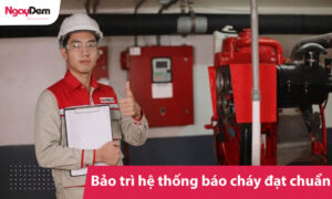 Bảo trì hệ thống báo cháy đạt chuẩn