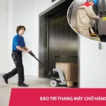 Bảo trì thang chở hàng hoá - Giá Tốt – Kiểm tra kỹ, Vận hành bền