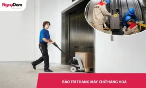 Bảo trì thang chở hàng hoá - Giá Tốt – Kiểm tra kỹ, Vận hành bền