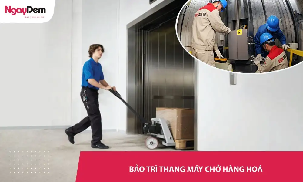 Bảo trì thang chở hàng hoá – Giá Tốt – Kiểm tra kỹ, Vận hành bền