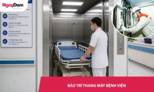 Bảo trì thang máy bệnh viện trọn gói - Giảm chi phí sửa chữa dài hạn