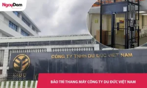 Hoàn thành bảo trì thang máy cho khu công nghiệp công ty Du Đức Việt Nam