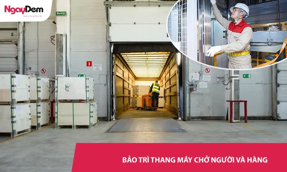Bảo trì thang máy chở người và hàng – Tư vấn miễn phí, Hỗ trợ tận nơi