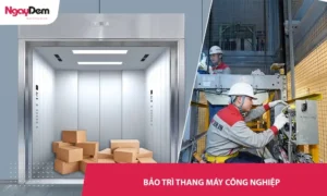 Dịch vụ bảo trì thang máy công nghiệp chuyên nghiệp, vận hành ổn định