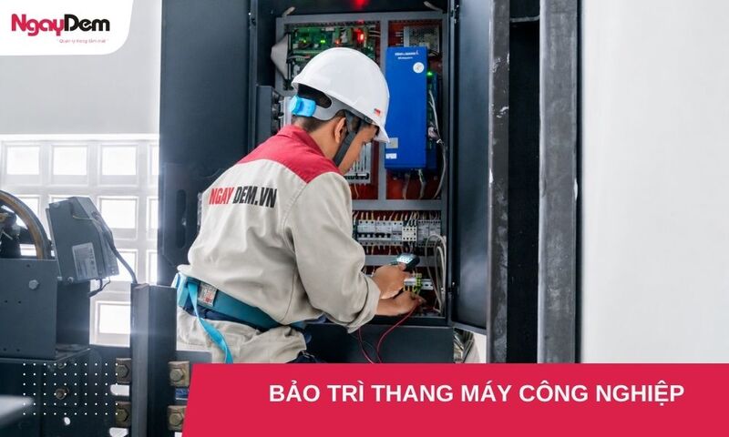 Đặc điểm của thang máy công nghiệp ảnh hưởng đến việc bảo trì