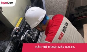 bảo dưỡng - bảo trì thang máy kalea