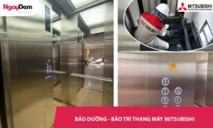 Dịch vụ bảo dưỡng – Bảo trì thang máy Mitsubishi Uy Tín 24/7