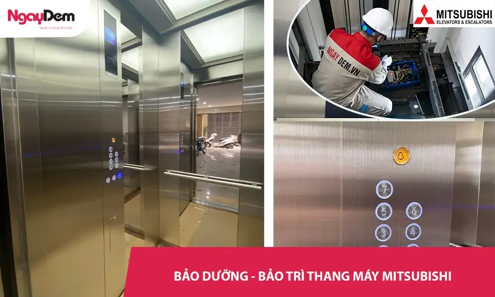 Dịch vụ bảo dưỡng – Bảo trì thang máy Mitsubishi Uy Tín 24/7