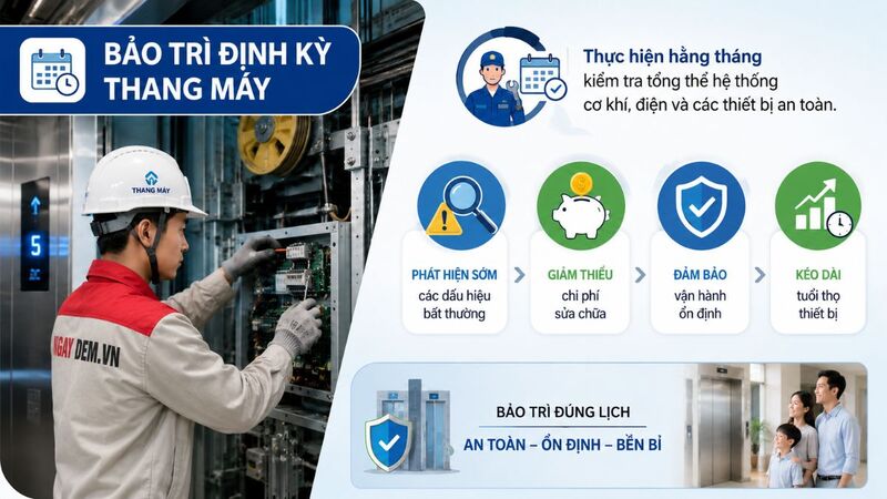 Bảo trì thang máy định kỳ