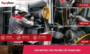Cách sửa motor, cáp, tín hiệu lỗi thang máy nhanh chóng chuyên nghiệp