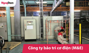 Công ty bảo trì cơ điện (M&E) chuyên nghiệp toàn quốc