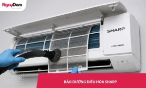 Bảo dưỡng điều hòa Sharp chuyên nghiệp| Chi phí không phát sinh