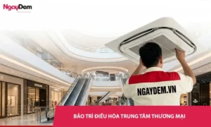 Dịch vụ bảo trì điều hòa trung tâm thương mại - Phản hồi nhanh, đúng giá