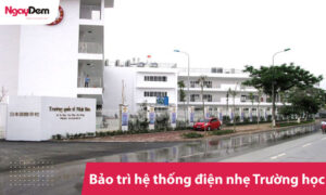 Dịch vụ bảo trì hệ thống điện nhẹ trường học
