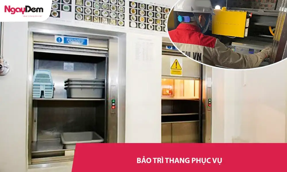 Dịch vụ bảo trì thang phục vụ| Giá tốt, Hỗ trợ 24/7