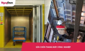 Dịch vụ sửa thang máy công nghiệp Uy tín - Gọi 0919.29.7766 - Nhận báo giá