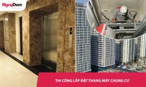 Dịch vụ thi công thang máy chung cư Trọn gói – tối ưu diện tích, vận hành bền bỉ