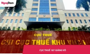 Dự án lắp đặt điều hoà cho Cục thuế 187 Giảng Võ