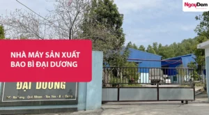 Ngày Đêm bảo trì Camera giám sát cho Nhà máy bao bì Đại Dương