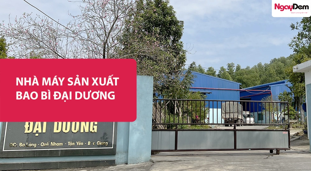 Ngày Đêm bảo trì Camera giám sát cho Nhà máy bao bì Đại Dương