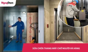 Sửa chữa thang máy chở người và hàng | Khắc phục lỗi nhanh 24/7