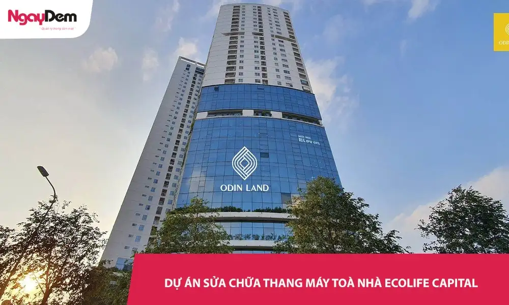 Dự án sửa chữa thang máy Tòa nhà Ecolife Capitol tại Cơ điện Ngày Đêm