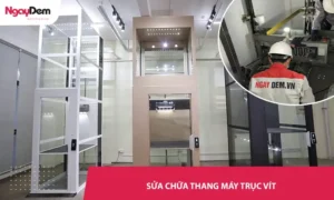 Sửa chữa thang máy trục vít uy tín | Khắc phục ngay lập tức