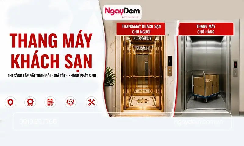 Loại thang máy cần thi công lắp đặt cho khách sạn